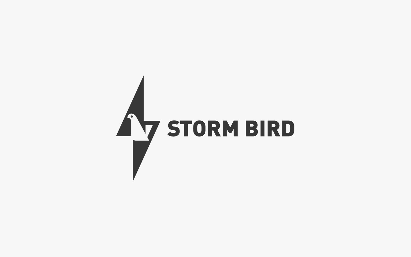 Storm Bird Logo Design in Mono