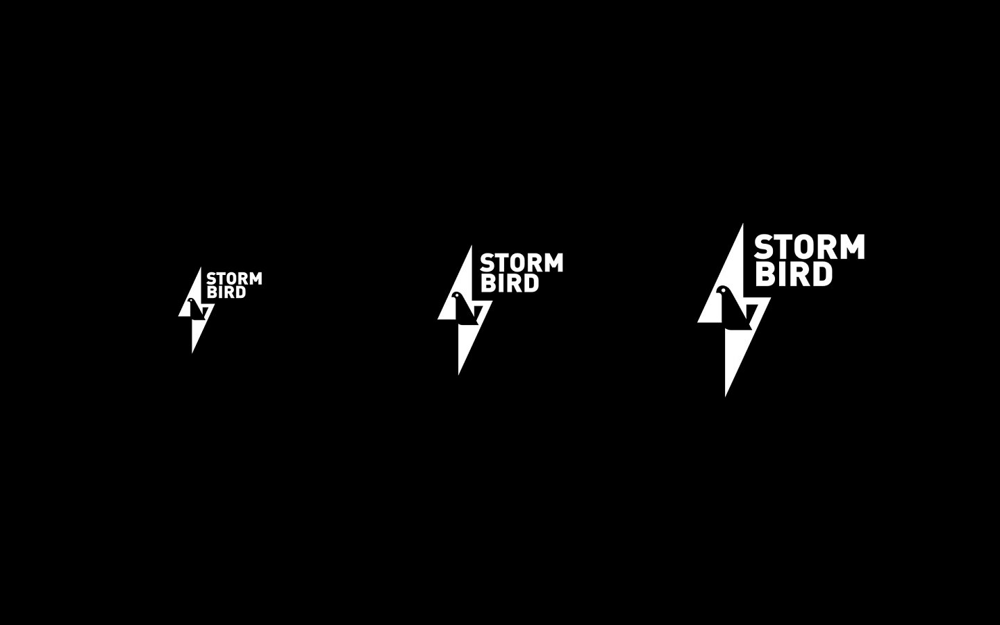 Storm Bird Logo Design in Mono Reversed