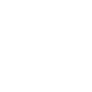 Din Børnekiropraktor