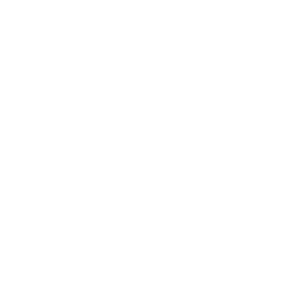 Monkey Pig and Pie
