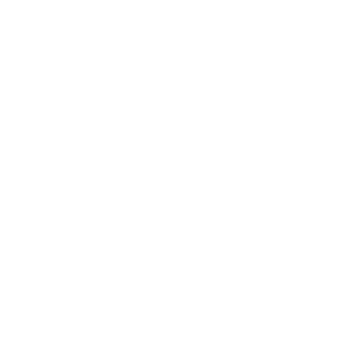 Project Leaders